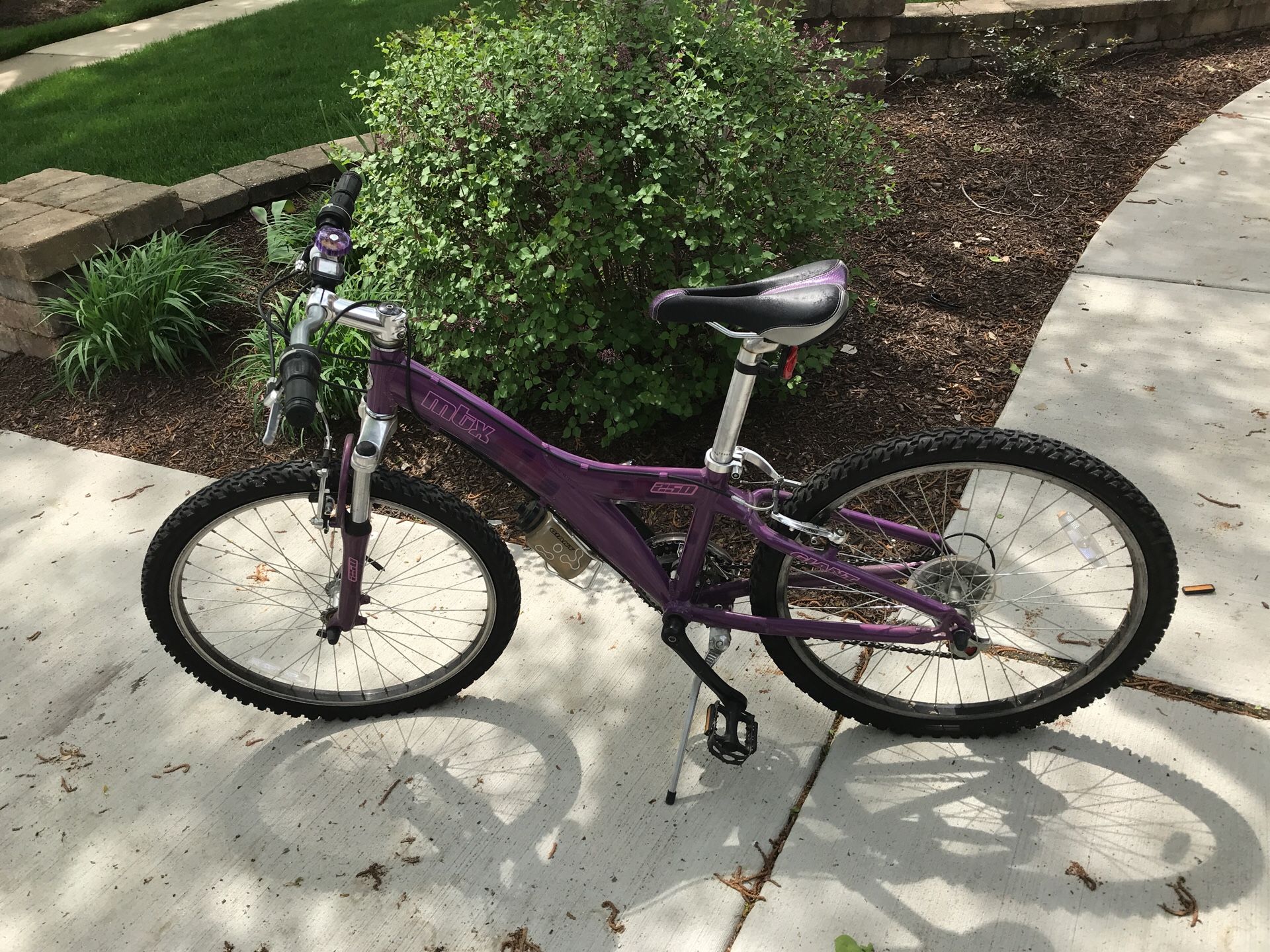 Giant mtx 250 Purple kids bike