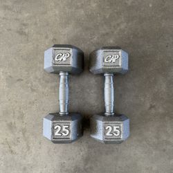 25lb Dumbbells