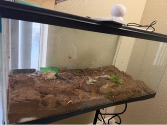large tank
