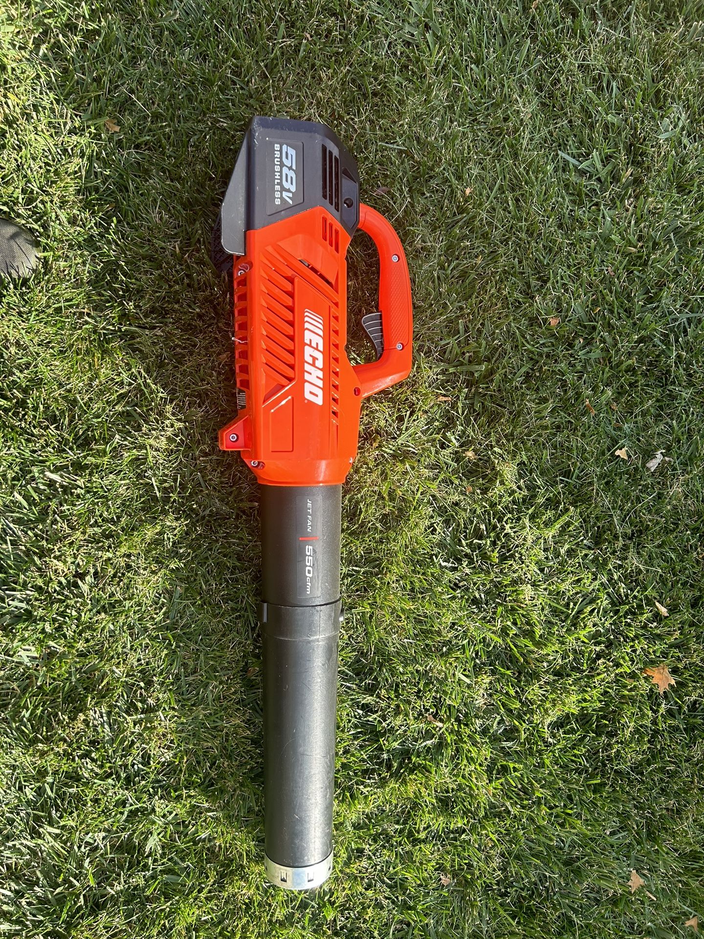 Two Echo 58V Leaf Blowers