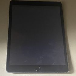 iPad 