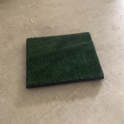 Potty Patch