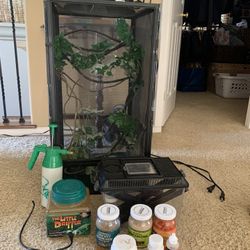 Complete Chameleon, (And Cricket) Set Up