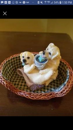Puppies in a basket