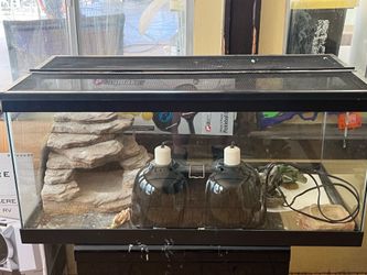 Reptile tank