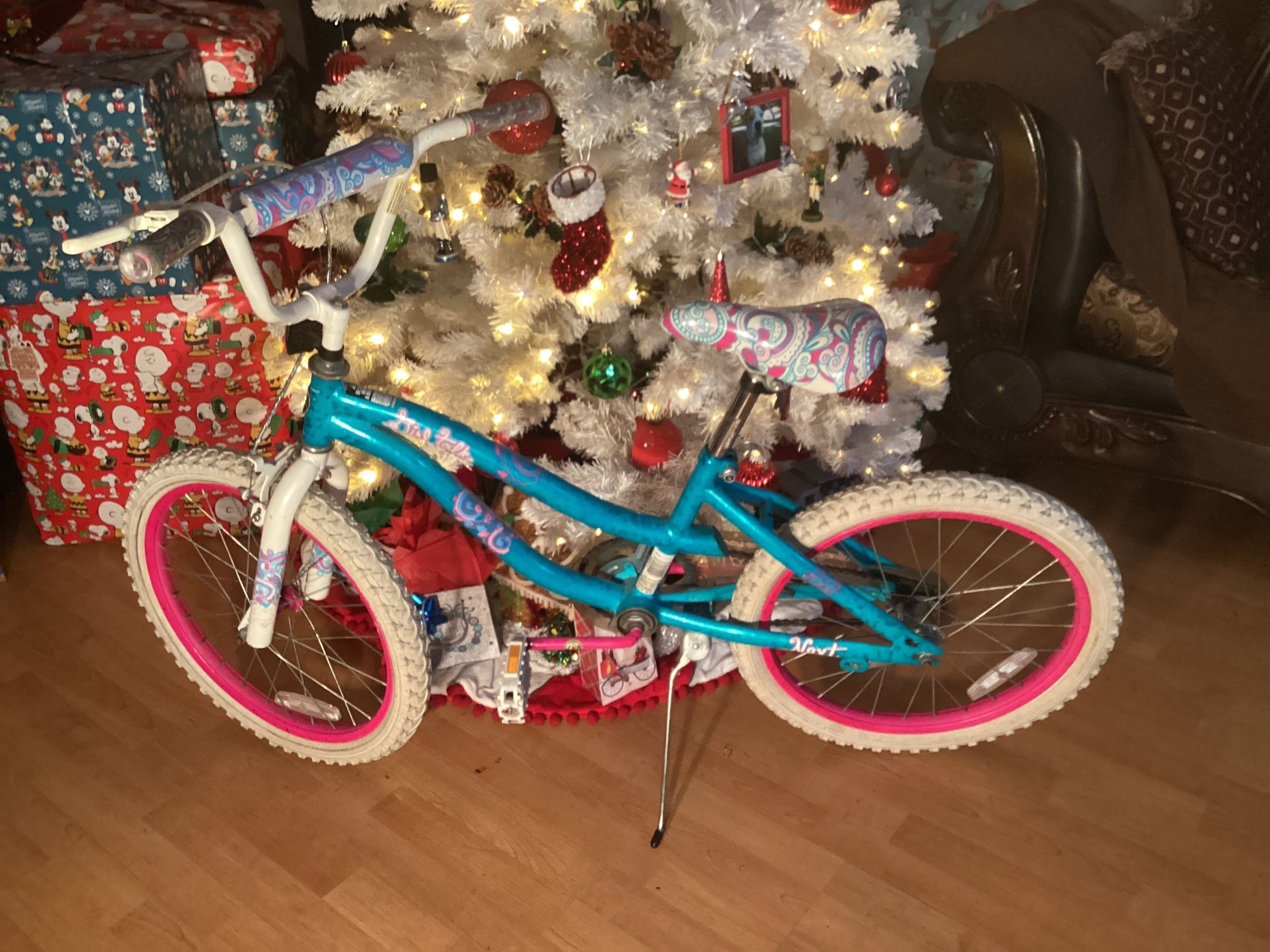 20” Mountain Next Girltalk Bike For Girls Excellent Condition $40 Firm 