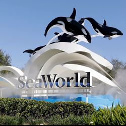 Seaworld Aquatica Busch garden tickets Available