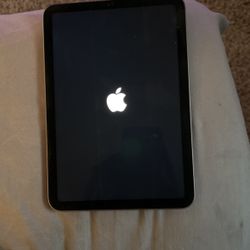 iPad mini