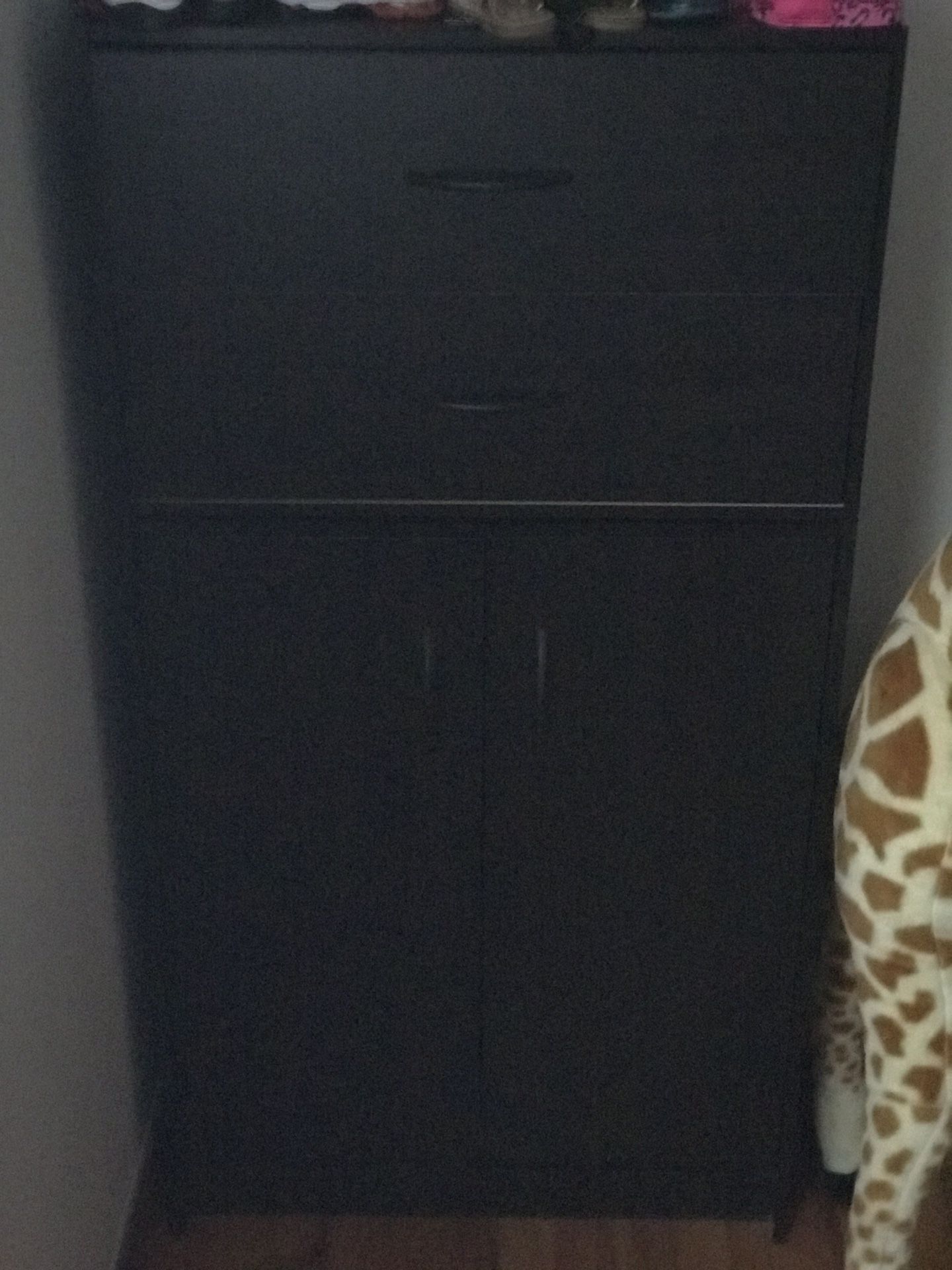 Kids armoire and changing table
