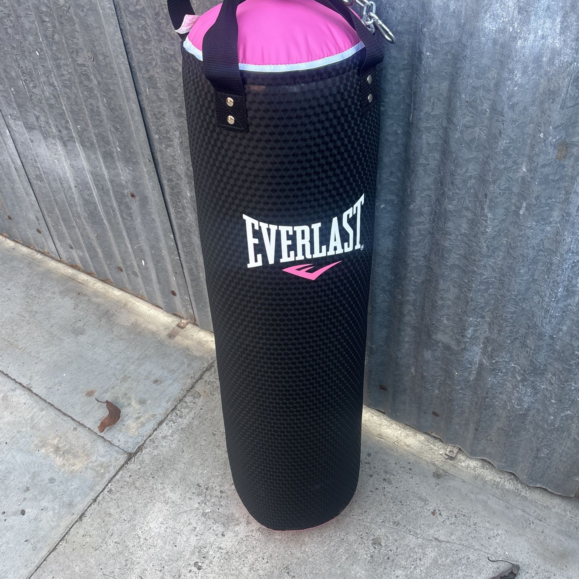 Everlast punching bag