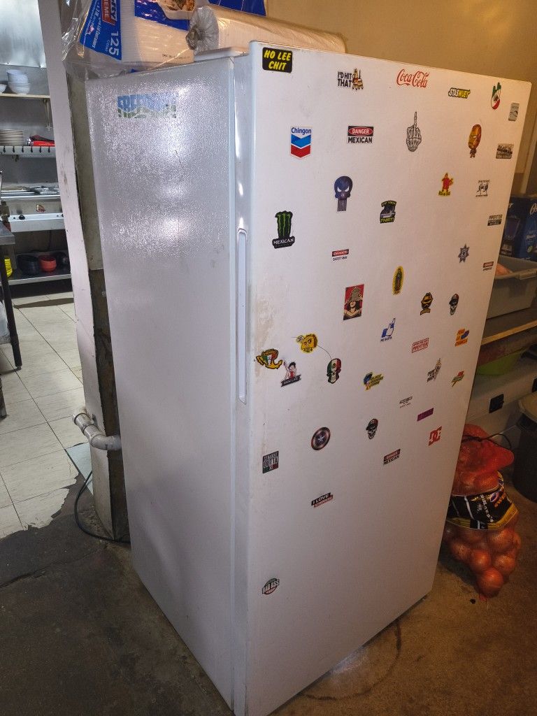 Stand Up Freezer
