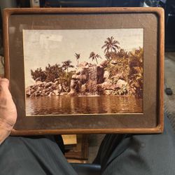 Framed Disney Typhoon Lagoon Art 