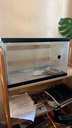 Glass Reptile Terrarium Tank with Lid