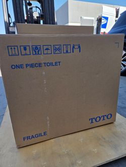 New TOTO one piece toilet.