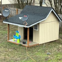 Giant Dog House