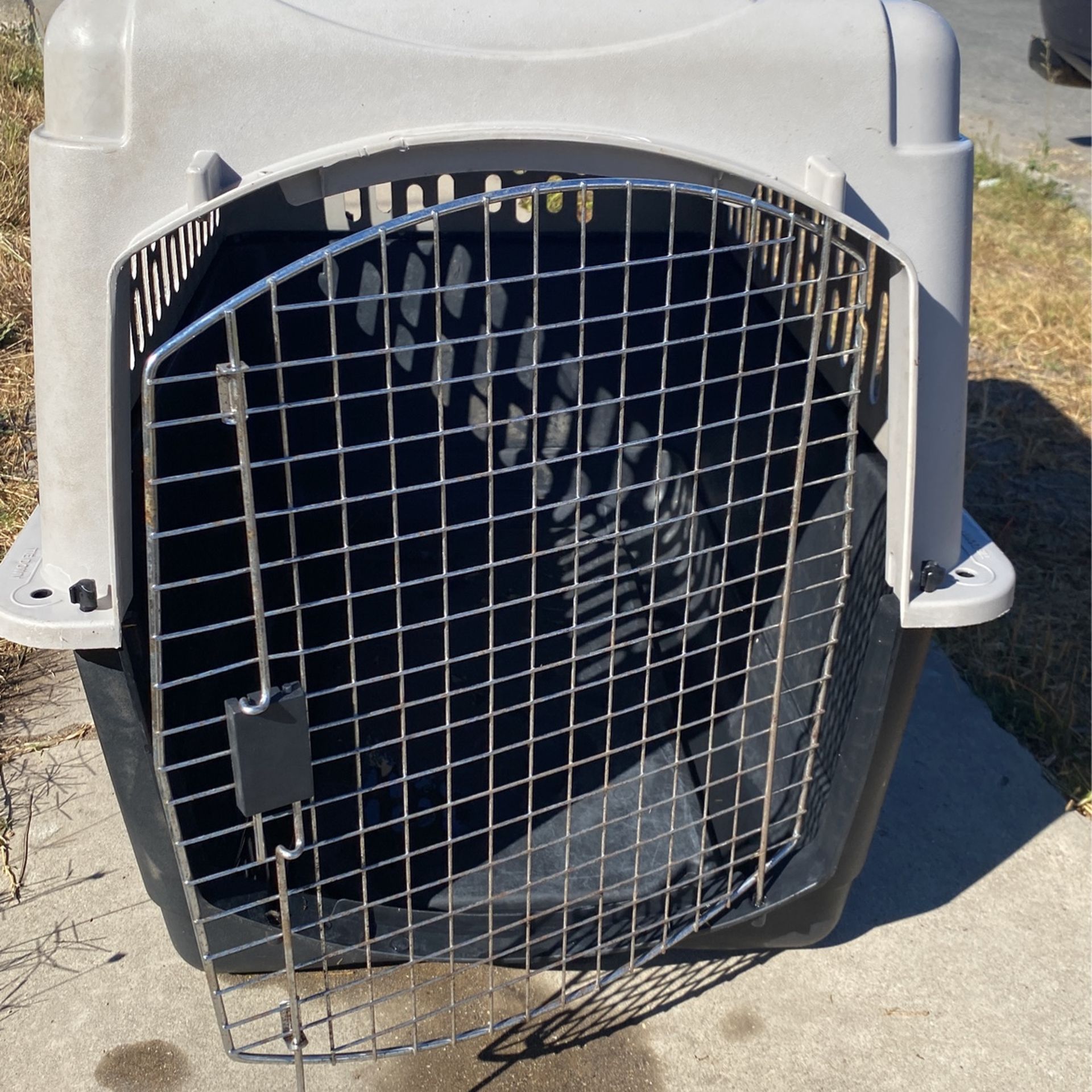 Xl Dog Crate