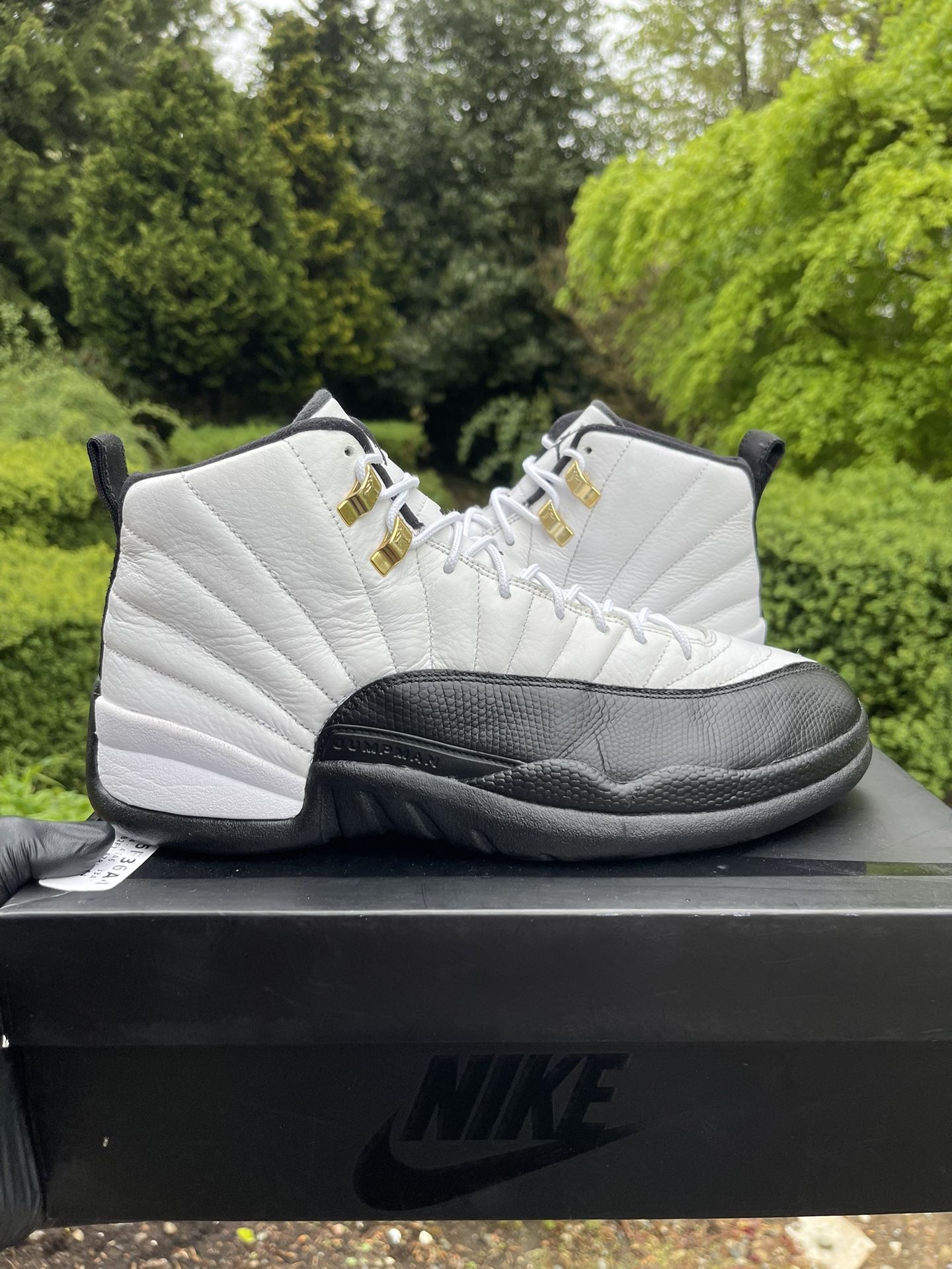 Air Jordan Retro 12 Taxi Size 10.5