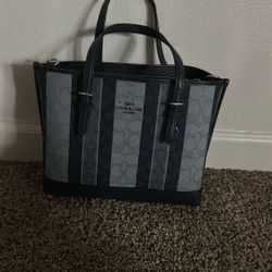 Blue Coach Bag 