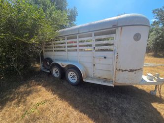 White Bumper Pull Livestock Trailer