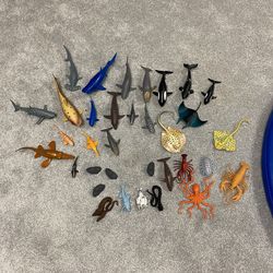 Set of marine life animals toys