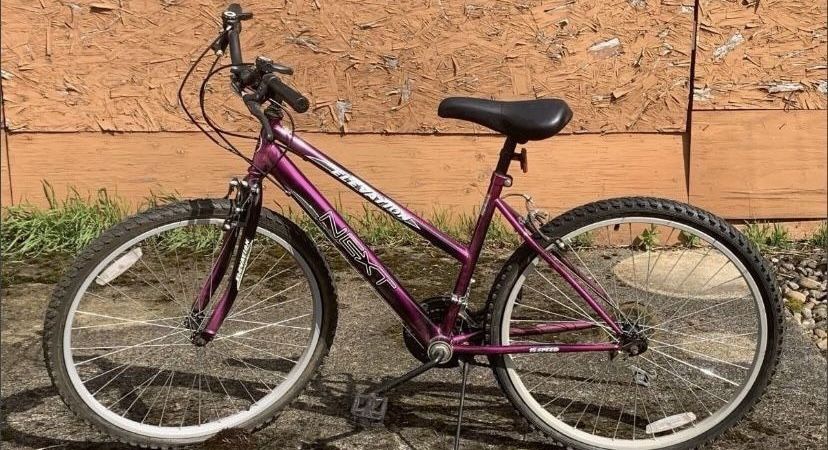 Next Elevation Mountain Bike