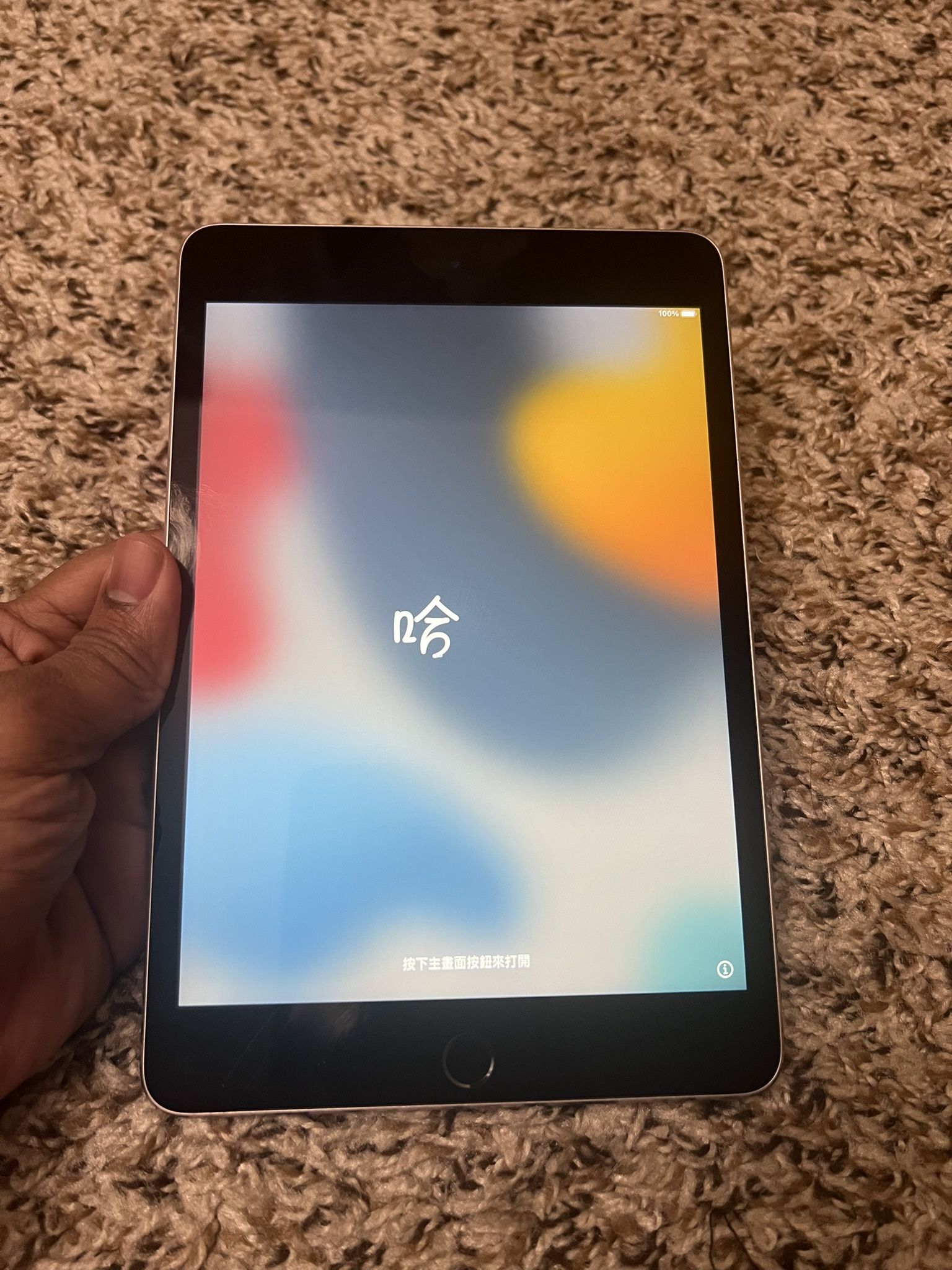 Apple iPad Mini 4 128gb WiFi Price Firm