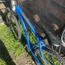 Specialized Rockhopper Mountain Bike