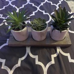 Faux Succulent Plants