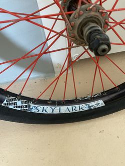 Alienation skylark rim top