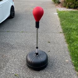 Kids Punching Bag. 