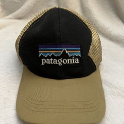 Patagonia baseball cap