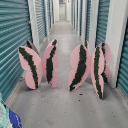 Butterfly Props 