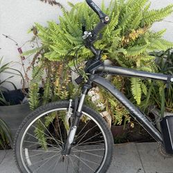 Rock Hopper Specialized Bike 