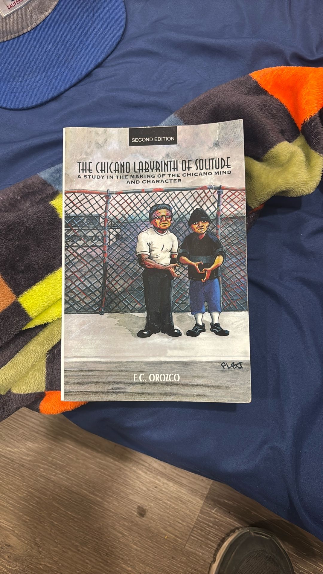 The Chicano Labyrinth Of Solitude