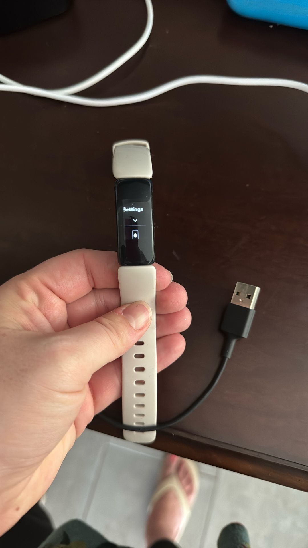 Fitbit Inspire