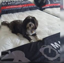 New  Mattress On Sale...!!! 🍁🍁🍁