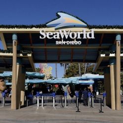 sea world san diego tickets 