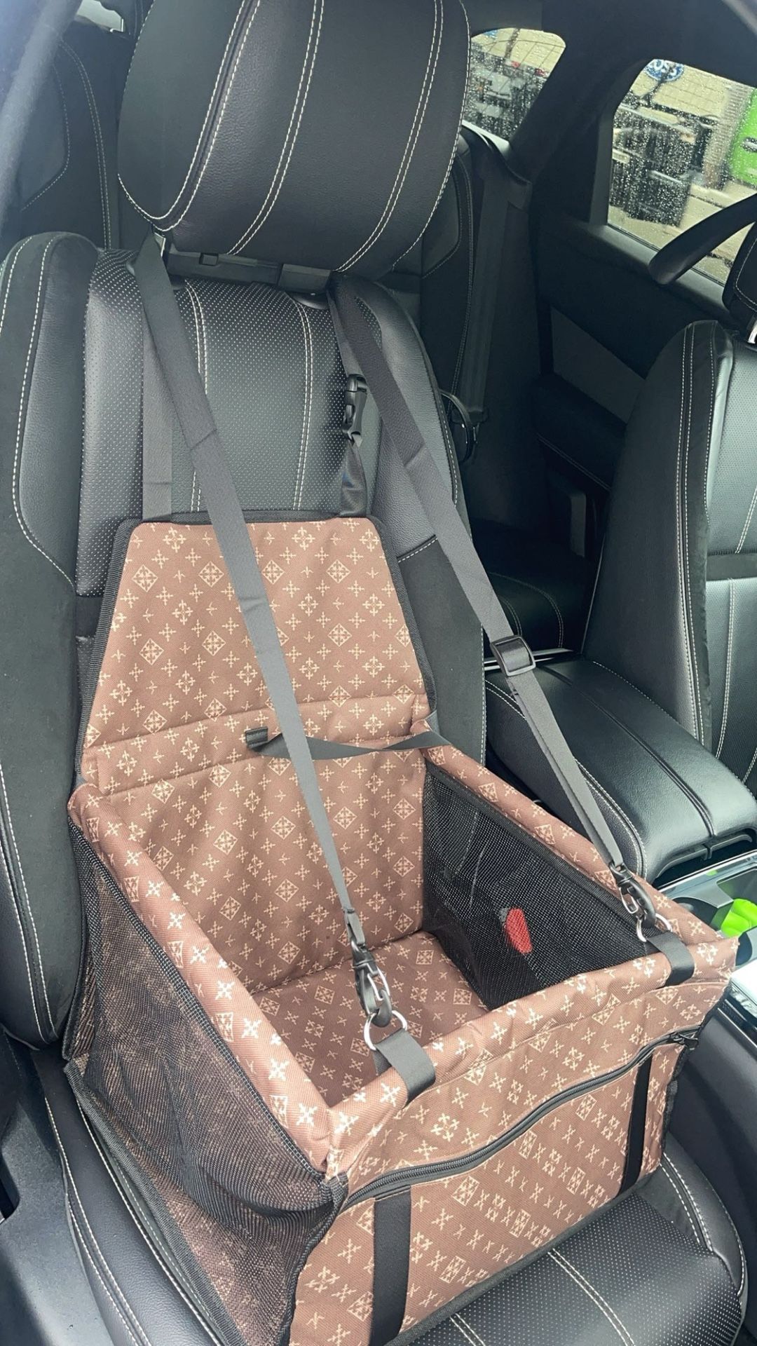 Dog Car Seat.