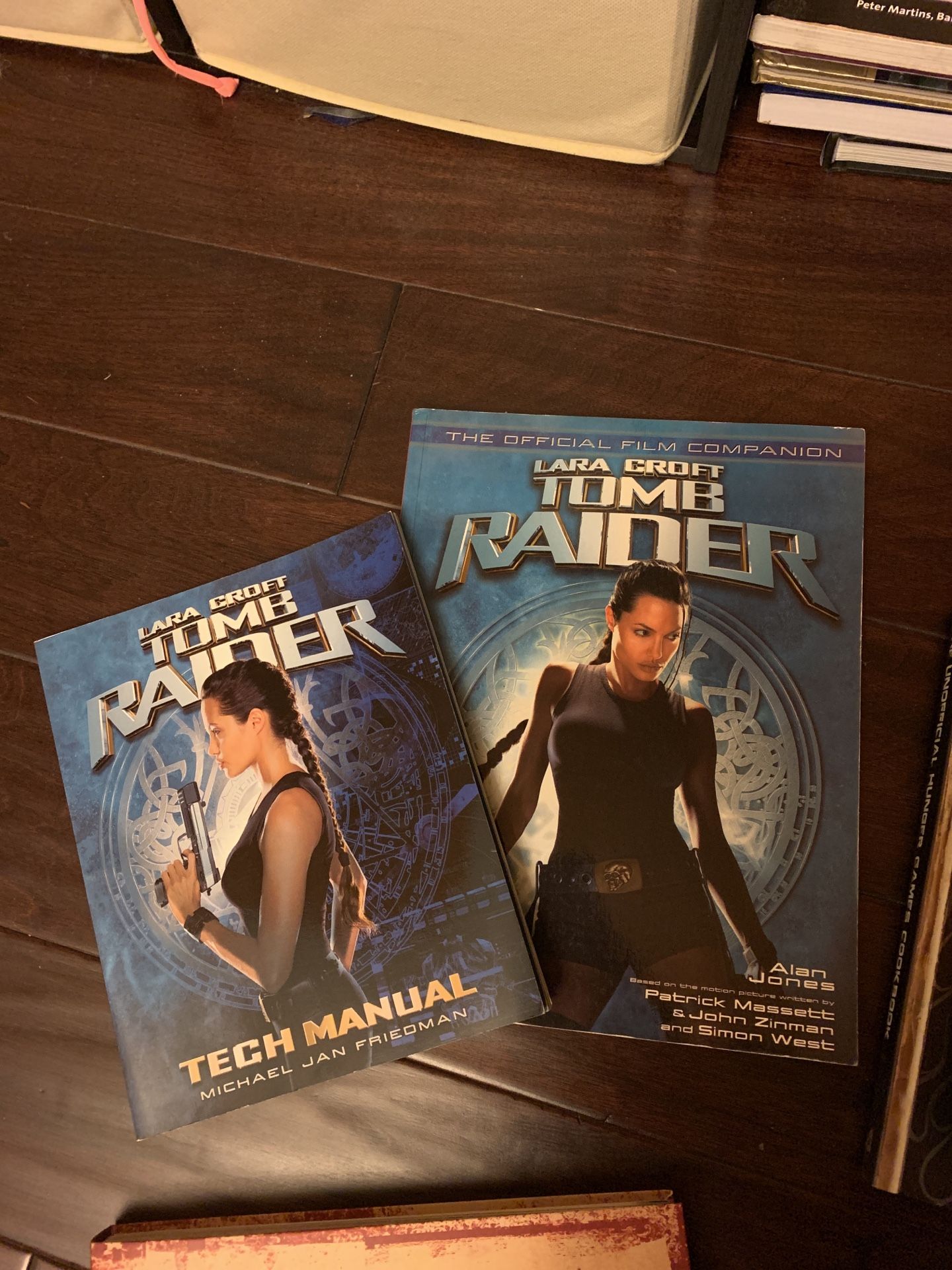 Tomb Raider books