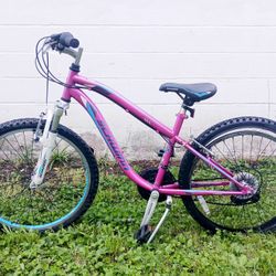 Girls Schwinn Byway 24" Bike