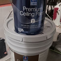 Sherwin Williams Paint 