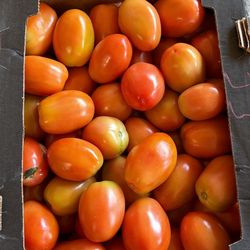‼️Box of Tomato’s ‼️