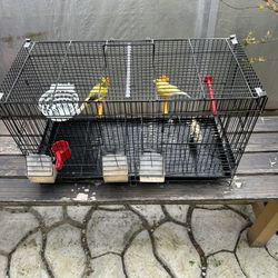 Empty Cage For Bird