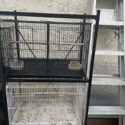 Bird Cages 