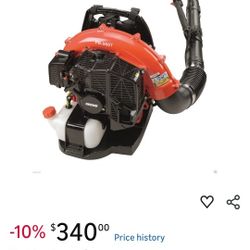 Echo Blower And Trimmer 