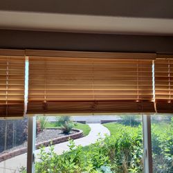 Window Blinds 