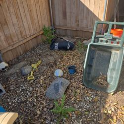 Everlast punching bag. It's been outside.