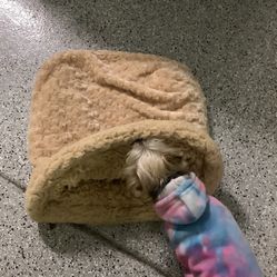 Snuggle Dog Bed