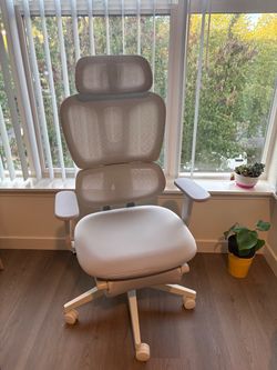 Ergonomic Office Chair