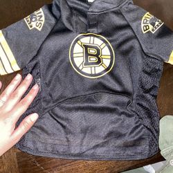 Dog Bruins Jersey 